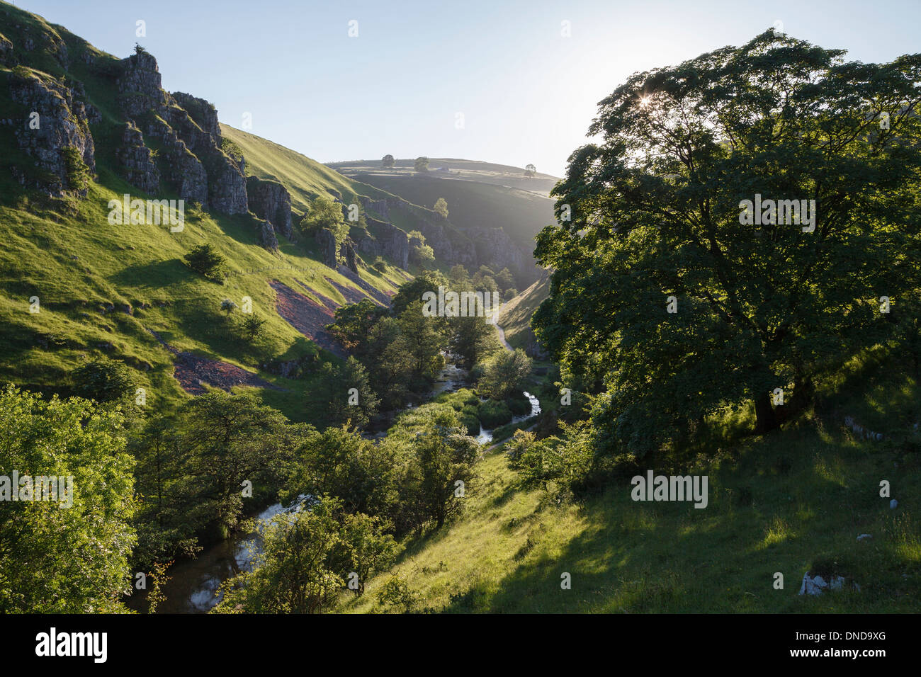 Wolfscote Dale, Dove Valley, parc national de Peak District, Derbyshire Banque D'Images