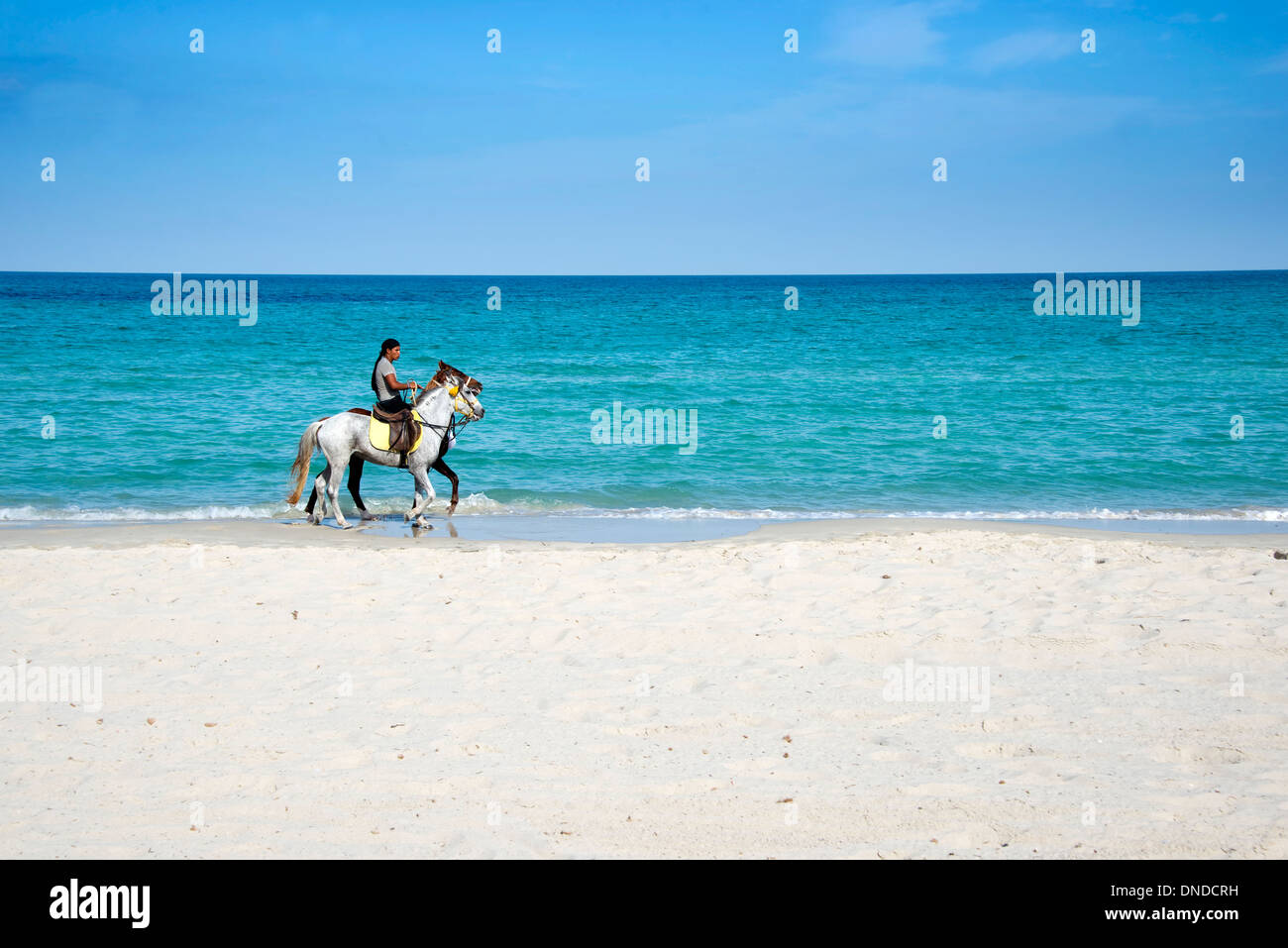Les cavaliers sur la plage de l'île de Djerba, Tunisie Banque D'Images