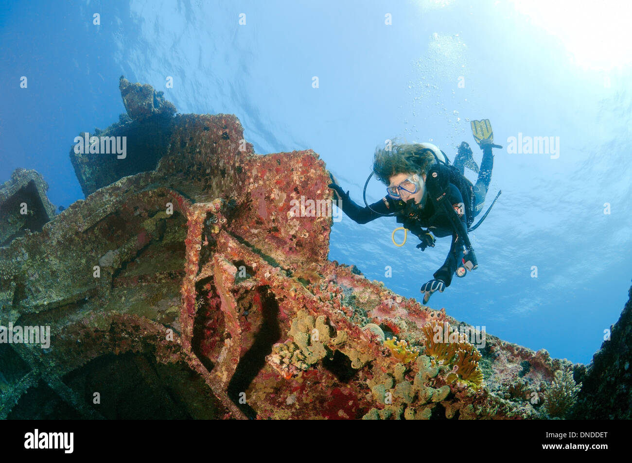 Plongeur à la recherche de shipwreck 'Giannis D'. Red Sea, Egypt, Africa Banque D'Images