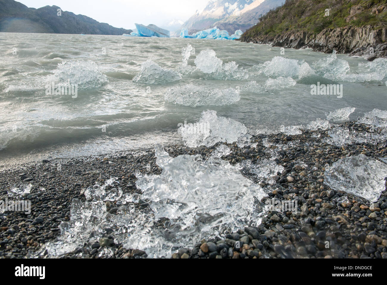 La glace sur beach Parc National Torres del Paine au Chili Banque D'Images