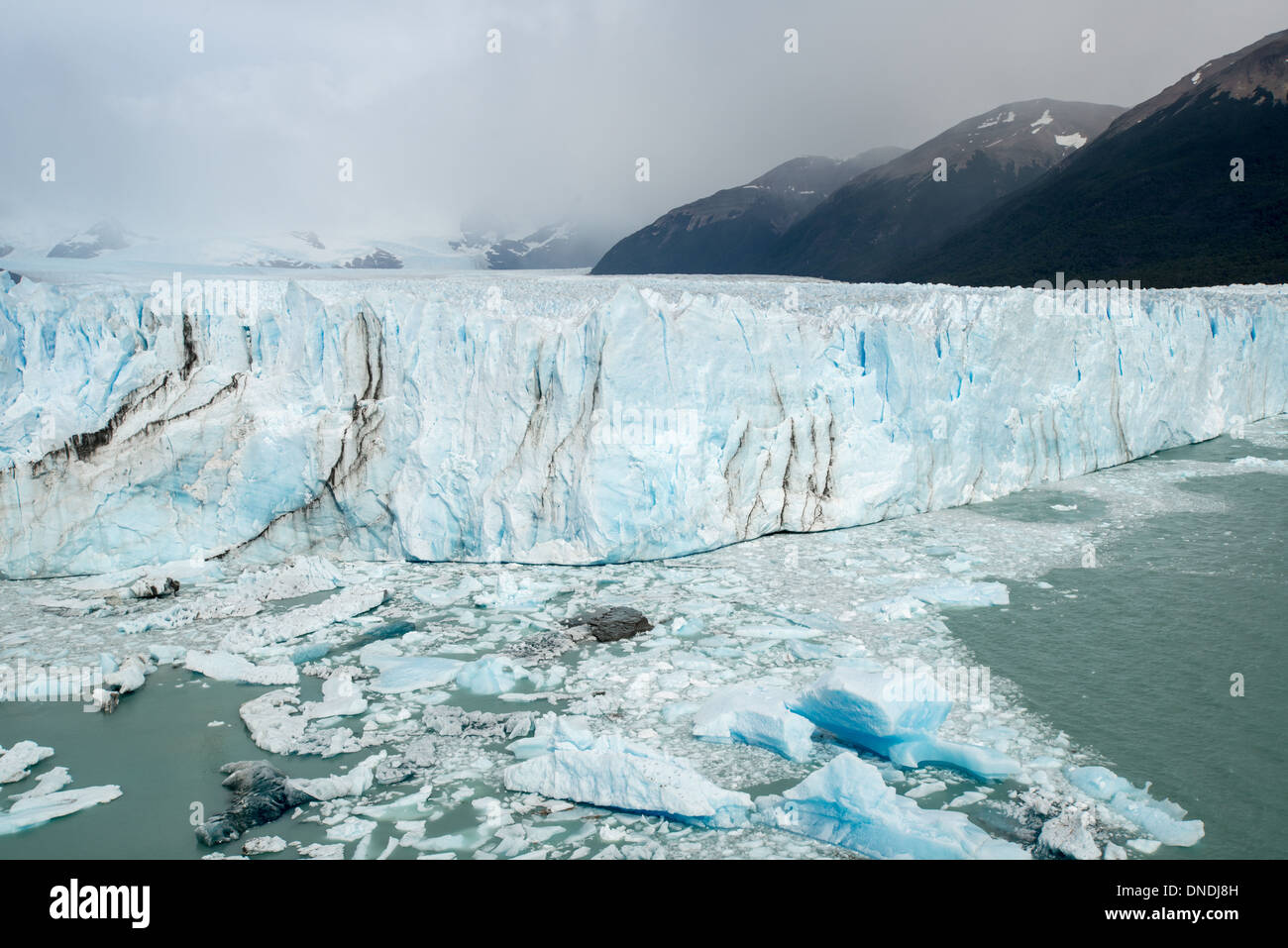 Forêt et des Glaciers, le Glacier Perito Moreno Argentine Parc National Los Glaciares Banque D'Images