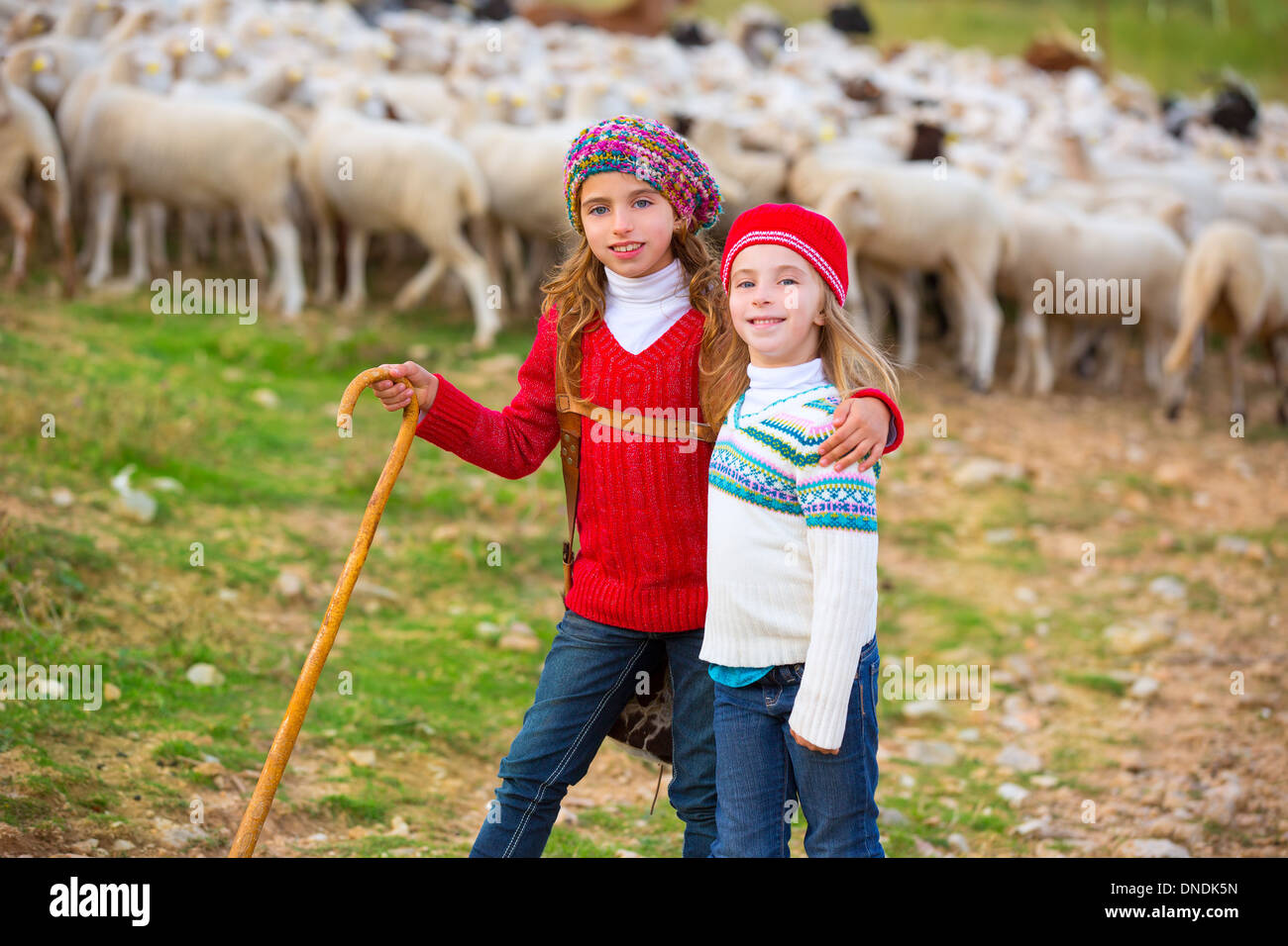 Kid girl bergère sœurs heureux avec troupeau de moutons et bâton en bois en Espagne Banque D'Images