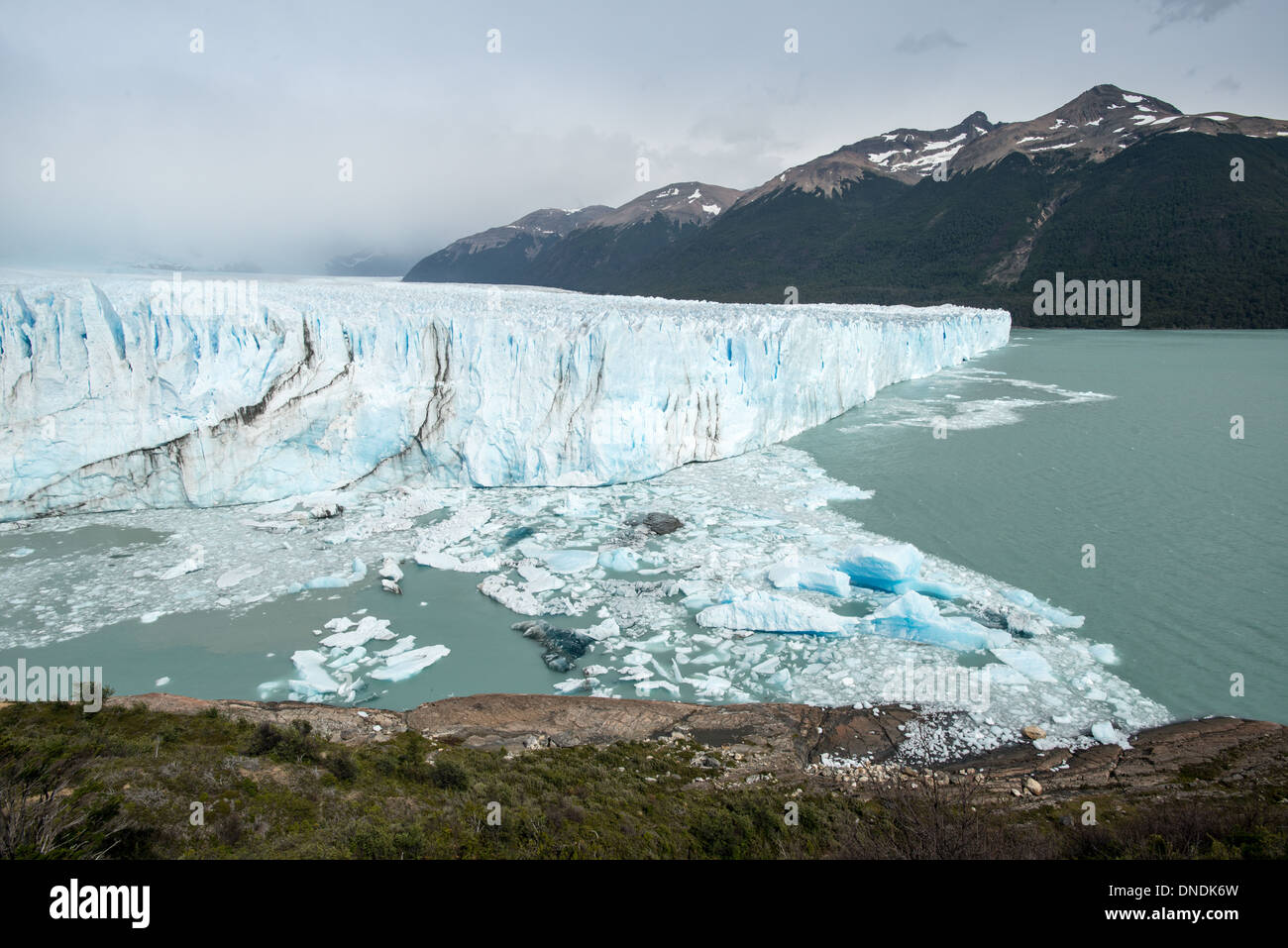 Forêt et des Glaciers, le Glacier Perito Moreno Argentine Parc National Los Glaciares Banque D'Images