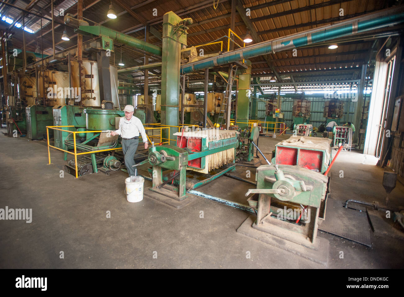 L'huile de canola (colza) production à Molinera Gorbea, un processeur de grains qui participent à la fabrication de la nourriture pour poissons Temuco Chili Banque D'Images