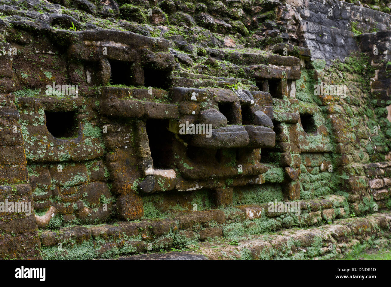 Temple de Jaguar en Belize Lamanai début novembre avec un peu de pluie Banque D'Images