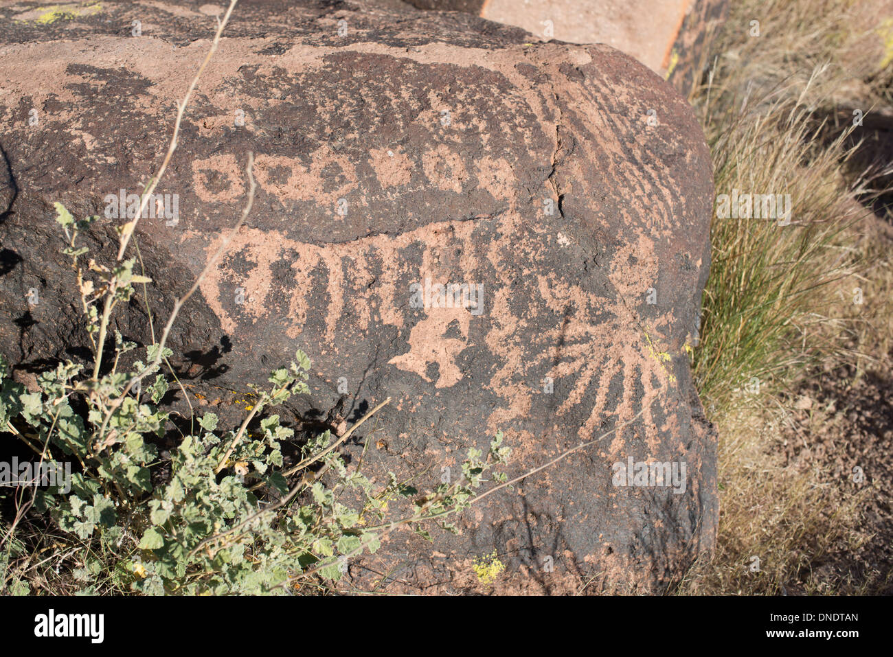 Pétroglyphes sur la pierre à Mojave National Preserve Banque D'Images