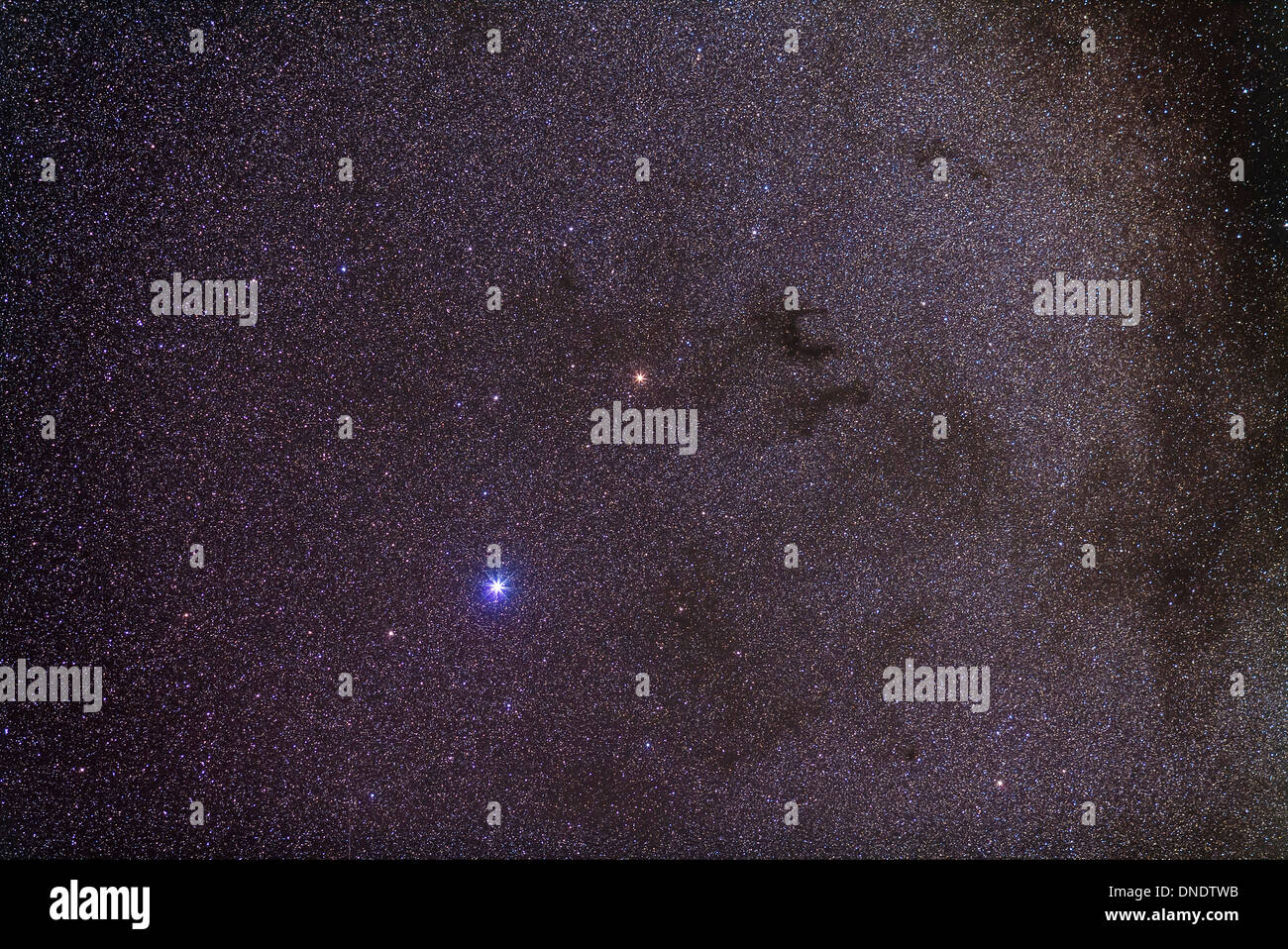 Vue grand champ de Barnard's E, la nébuleuse sombre Barnard Double 142 et 143, une paire de nébuleuse sombre dans la constellation Aquila. Banque D'Images