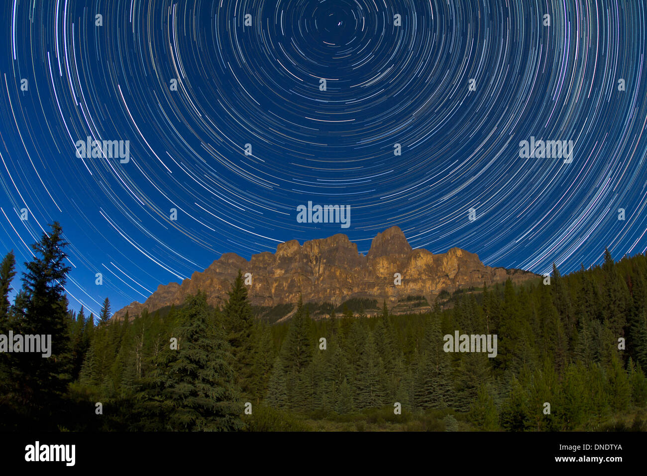 Sur les sentiers des étoiles circumpolaires Castle Mountain dans le parc national de Banff, Canada. Banque D'Images