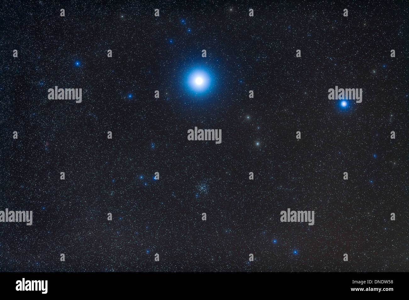Messier 41 amas ouvert dans la constellation du Grand Chien. Banque D'Images