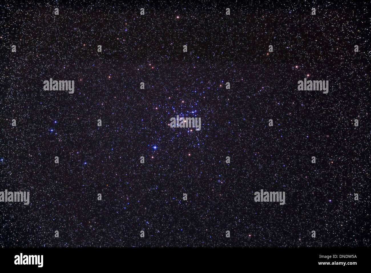 Amas d'étoiles Messier 41 ouvert au-dessous de l'étoile de Sirius dans la constellation du Grand Chien. Banque D'Images