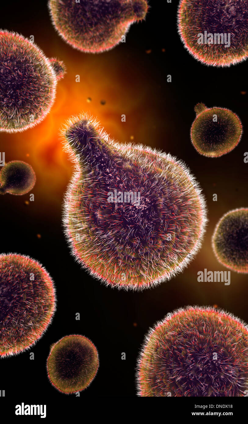Image conceptuelle de plasmodium causant le paludisme. Banque D'Images