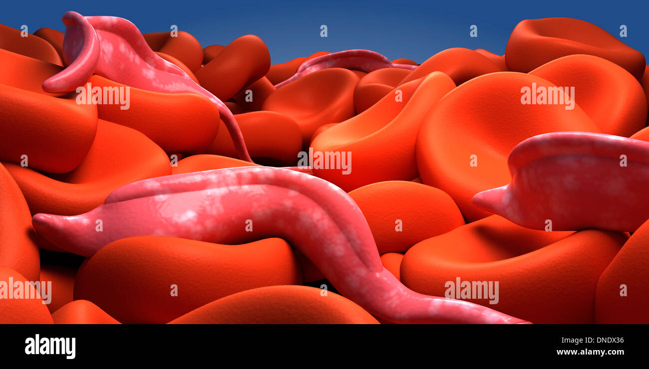 Image conceptuelle de Trypanosoma. Banque D'Images