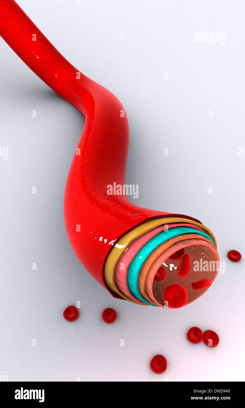 Image conceptuelle d'un vaisseau sanguin. Banque D'Images