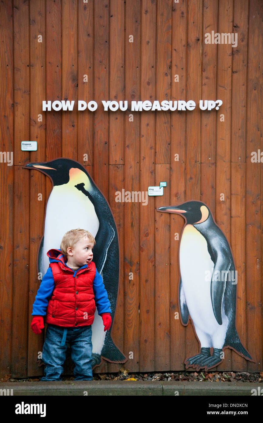 Un petit garçon et life-size images de pingouins au zoo d'Edimbourg, Ecosse, Royaume-Uni Banque D'Images