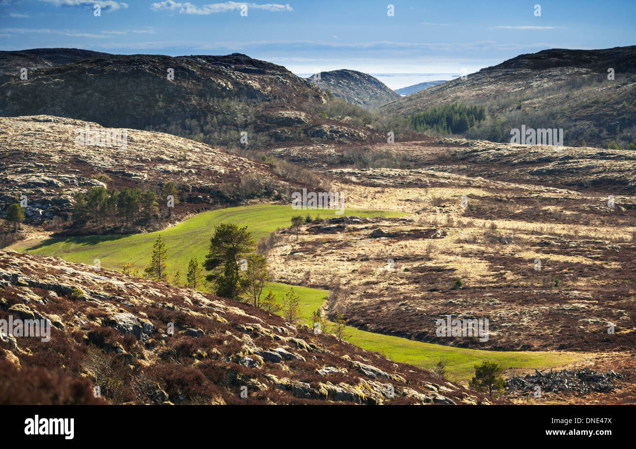 Printemps paysage norvégien avec montagnes et green field Banque D'Images