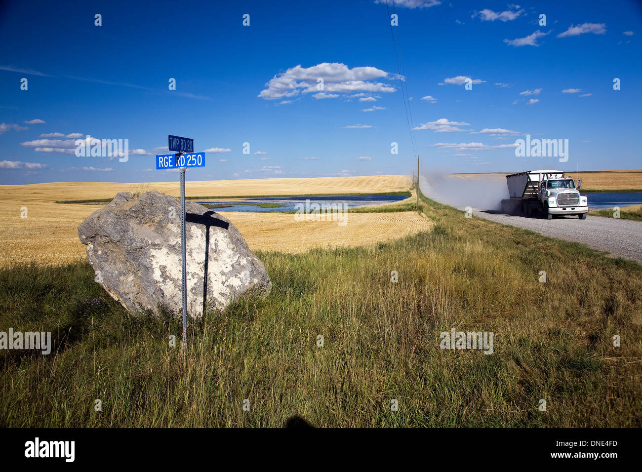 Camion de transport du grain on rural road, au sud de l'Alberta, Canada. Banque D'Images