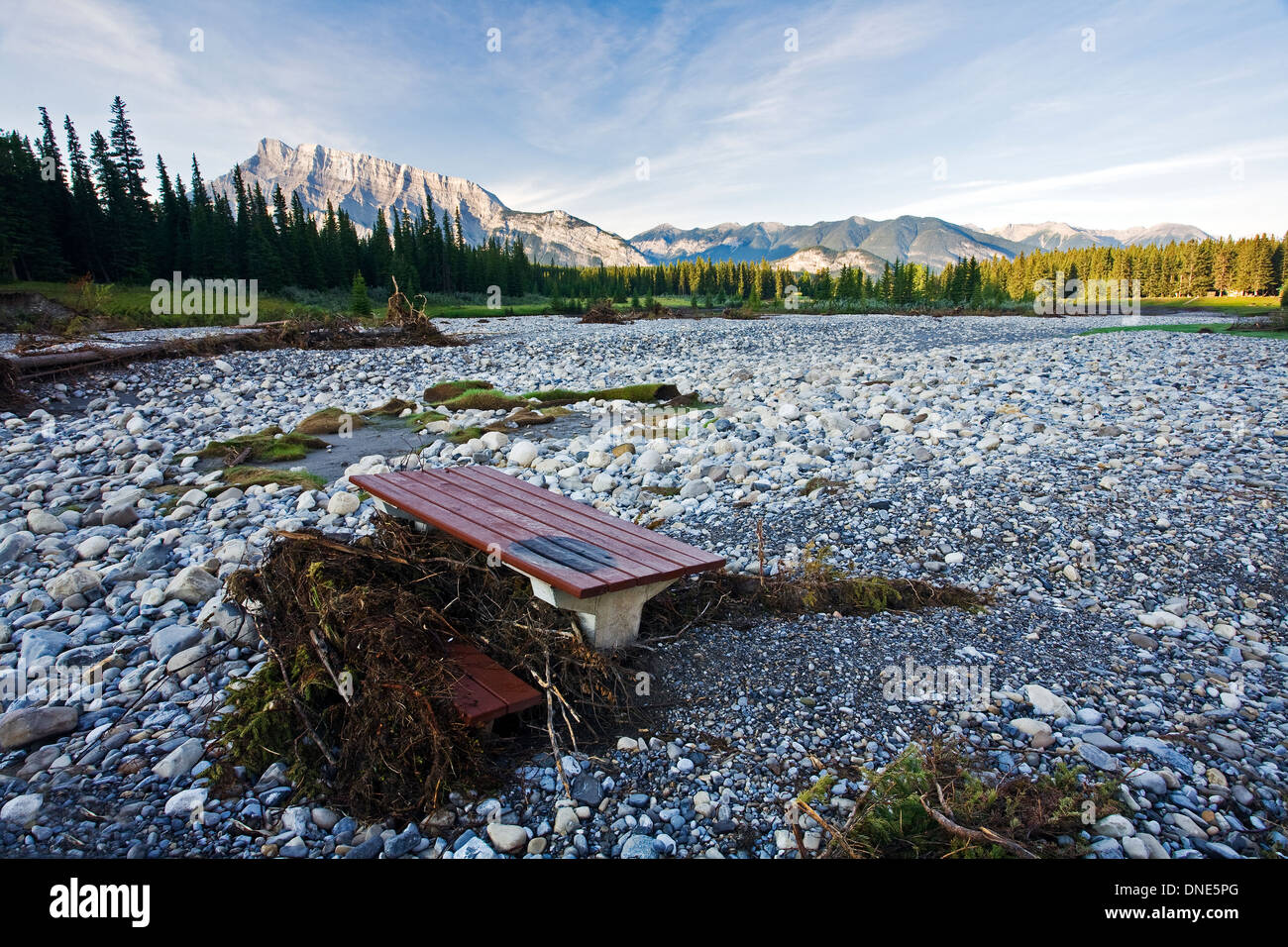 Les dégâts causés par les inondations à Cascade Étang Aire de pique-nique, Banff National Park, Alberta, Canada. Banque D'Images