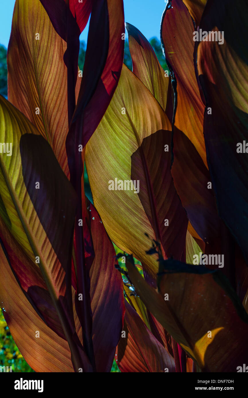 73 IN SITU DIAMOND HILL ROAD REDDING California 06896 Banque D'Images