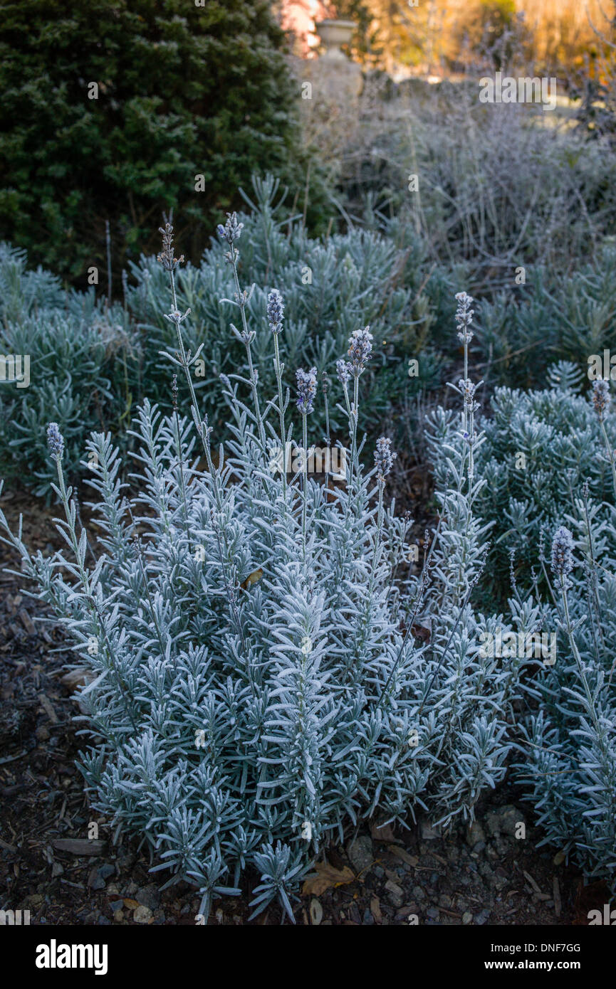 In SANFORDTOWN ROAD REDDING California 06896 Banque D'Images