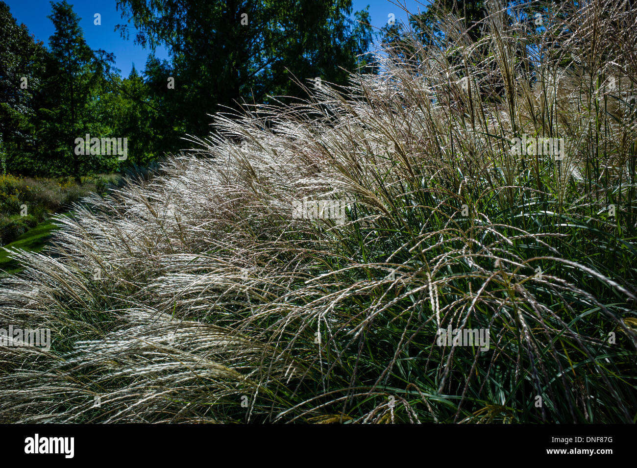 73 IN SITU DIAMOND HILL ROAD REDDING California 06896 Banque D'Images