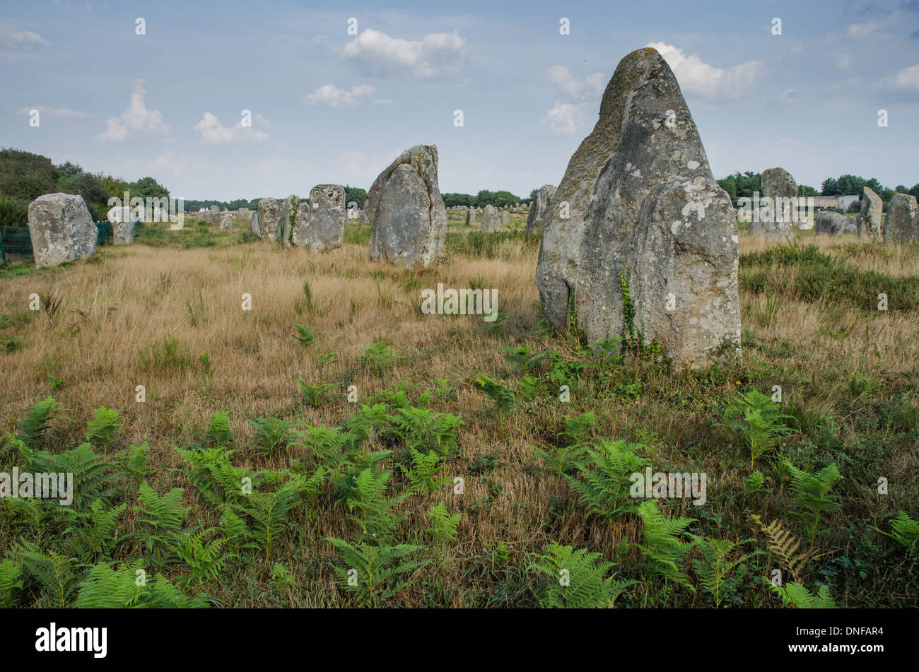 Monuments mégalithiques de l'âge de pierre à Carnac de France Photo