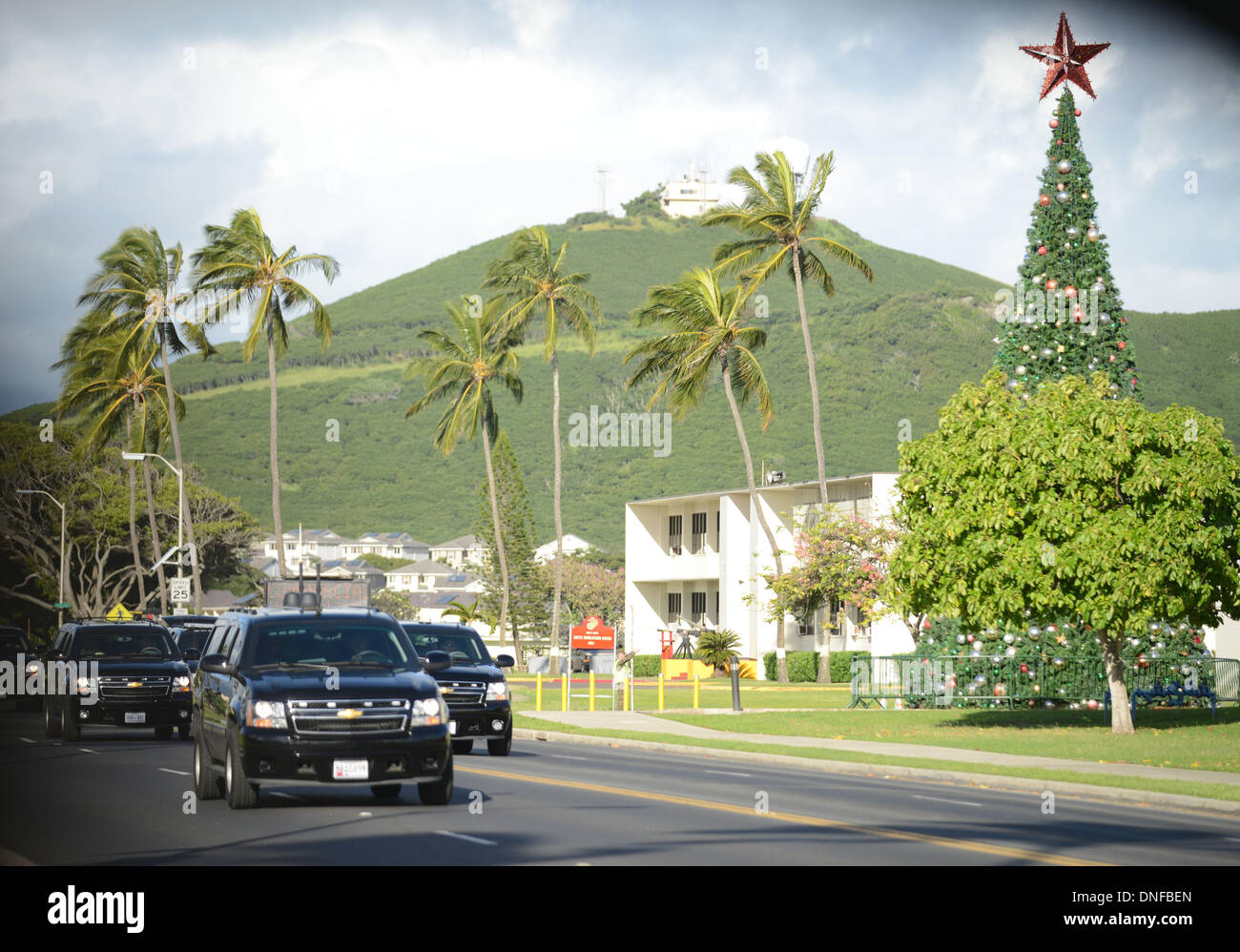 Le président des États-Unis Barack Obama a passé le cortège du durs un arbre décoré leur voyage de retour de son matin exercice de routine à Hawaï Base du Corps des Marines. La première famille est jouissant de leurs vacances d'hiver vacances à Kailua, Hawaii, le 24 décembre 2013. Credit : Cory Lum / Piscine via CNP Banque D'Images