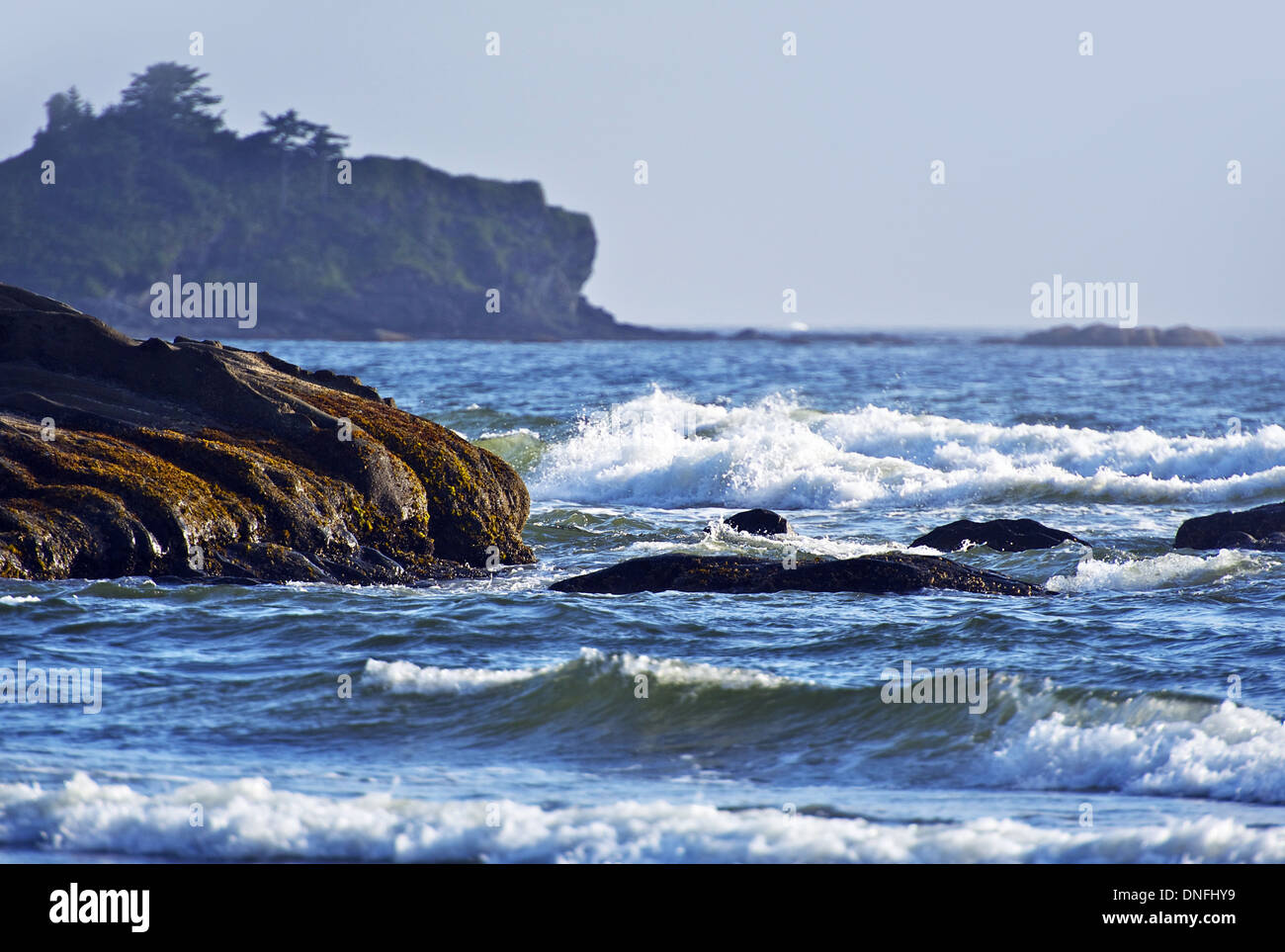 Plage de l'océan Pacifique rocheuses dans la péninsule Olympique, l'État de Washington, États-Unis. Banque D'Images
