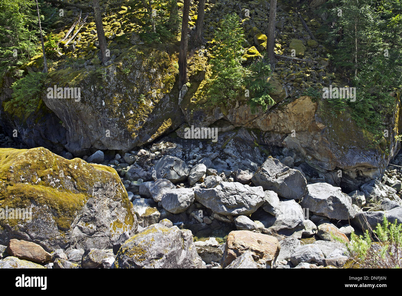 Rocky Creek et la mousse dans le Nord de l'État de Washington, États-Unis. Nord de la chaîne des Cascades. Banque D'Images