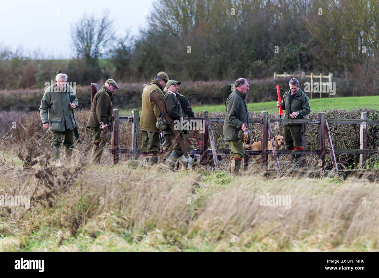 Field Sports Deene Park Estate Northamptonshire Banque D'Images