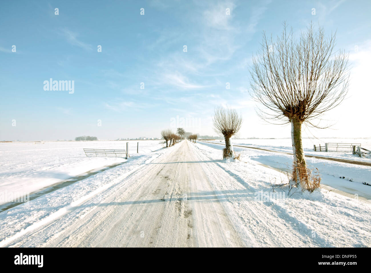 Route de campagne enneigée dans les Pays-Bas en hiver Banque D'Images