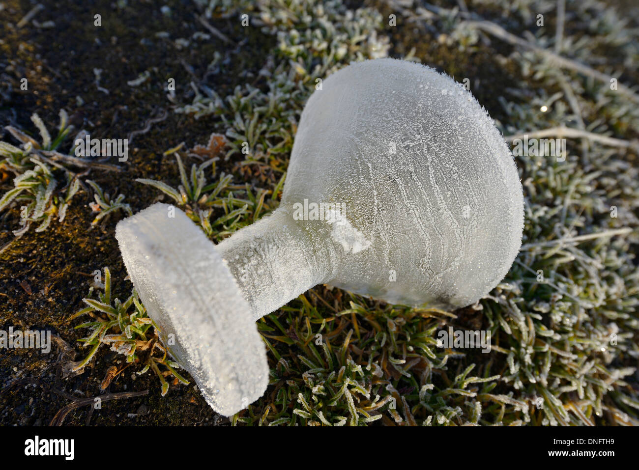 Verre de glace sculpté rejetés à l'extérieur de l''Aurora Ice Museum Chena Hot Springs Resort Alaska USA Banque D'Images