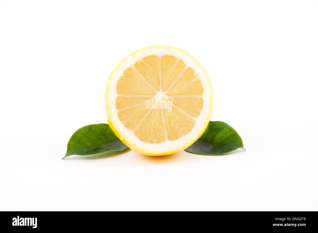 La moitié de citron frais, sur un fond blanc. Banque D'Images