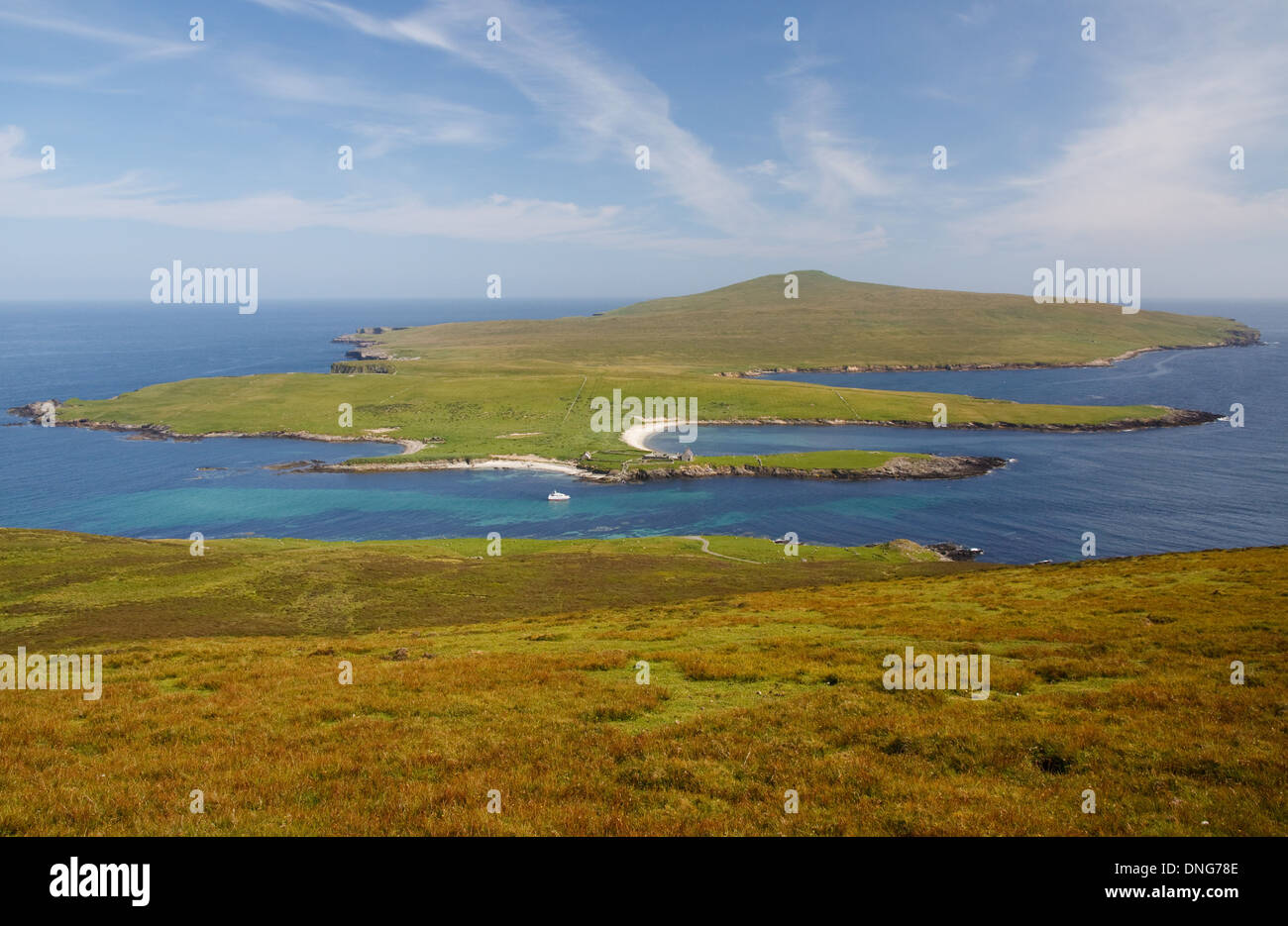 À l'échelle de l'île de Noss Réserve naturelle nationale de l'Ander Hill sur Bressay, Shetland Islands Banque D'Images
