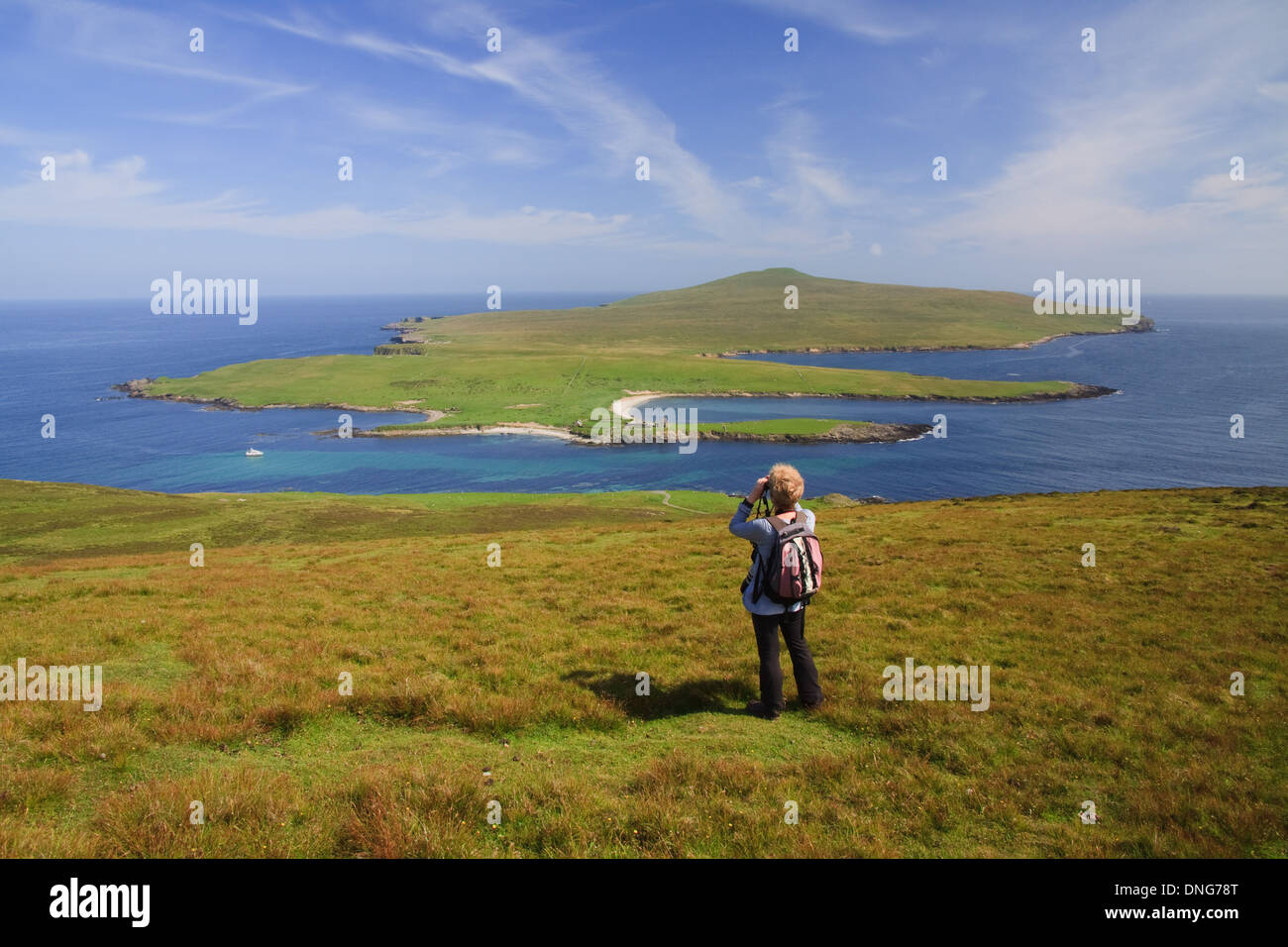 À l'échelle de l'île de Noss Réserve naturelle nationale de l'Ander Hill sur Bressay, Shetland Islands Banque D'Images