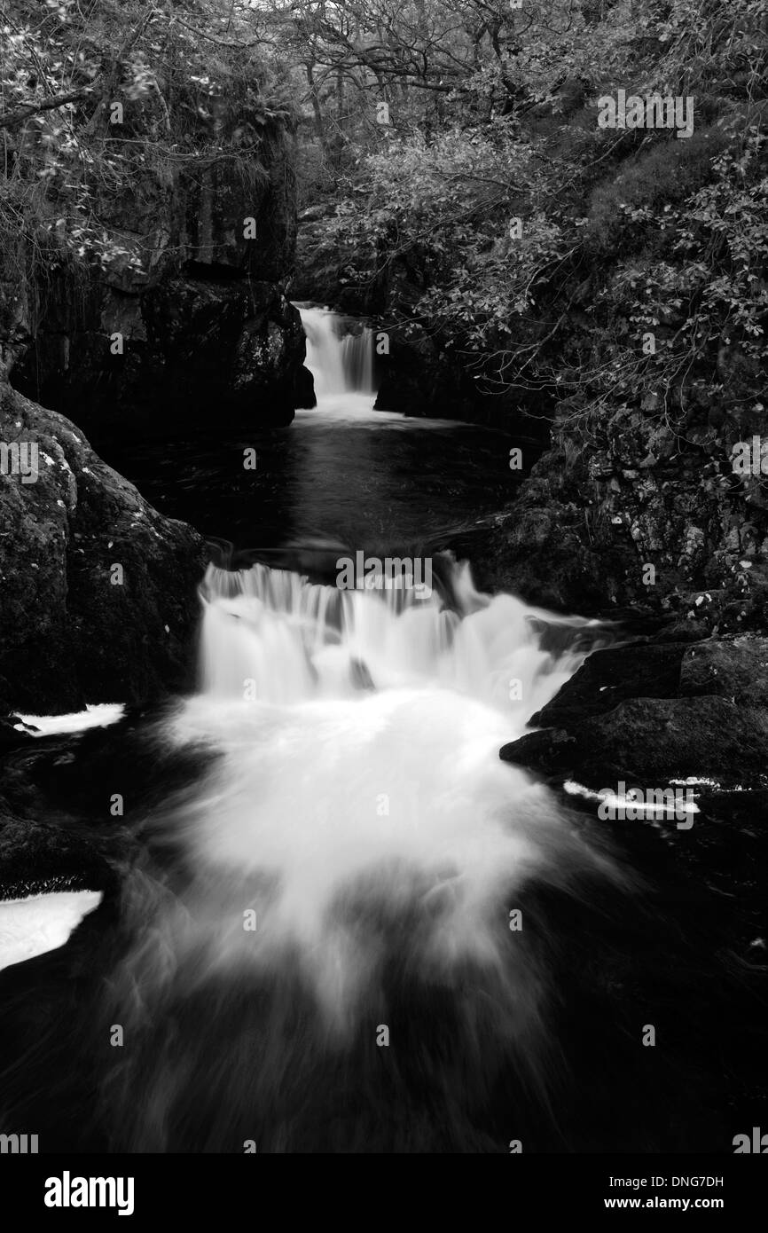 Chutes de neige, rivière Doe, Ingleton, sentier des chutes d''Ingleton village, Yorkshire Dales National Park, England, UK Banque D'Images