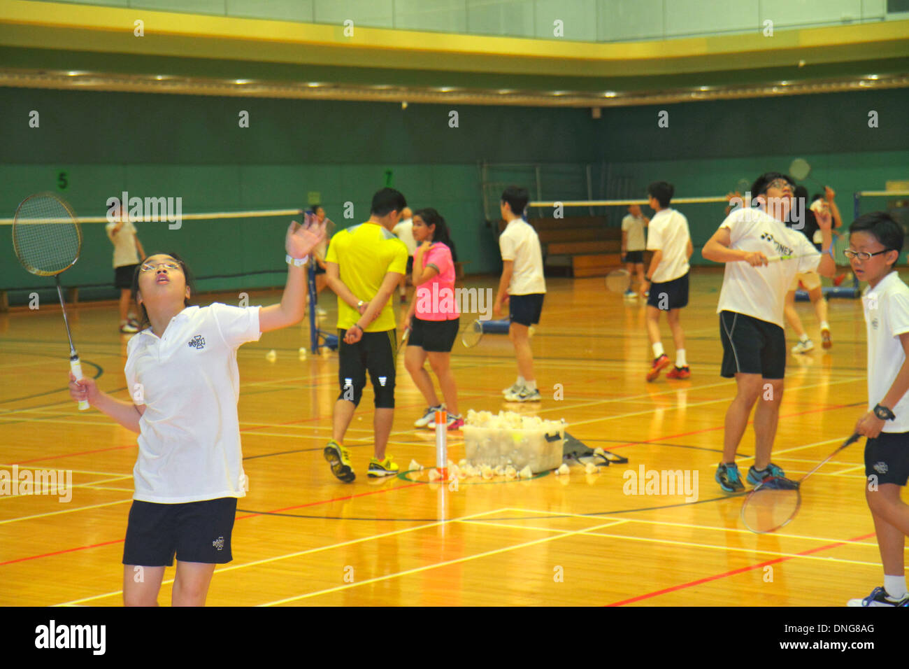 Hong Kong Chine,HK,Asie,Chinois,Oriental,Île,Central,Hong Kong Park Sports Center,centre,terrains de badminton,intérieur,gymnase,asiatique ethnie immi Banque D'Images