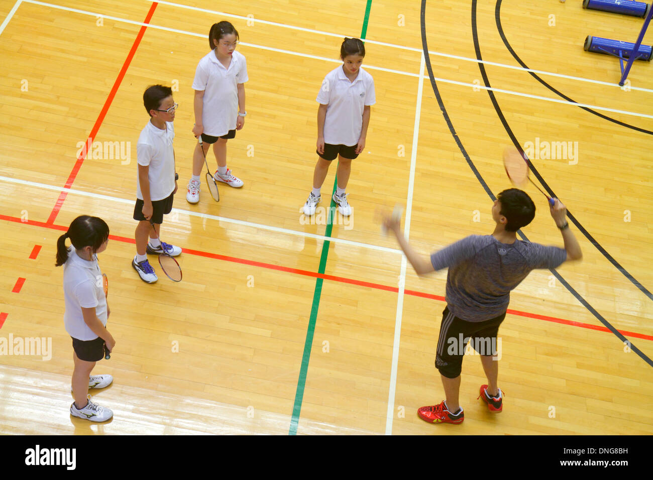 Hong Kong Chine,HK,Asie,Chinois,Oriental,Île,Central,Hong Kong Park Sports Center,centre,terrains de badminton,intérieur,gymnase,asiatique ethnie immi Banque D'Images