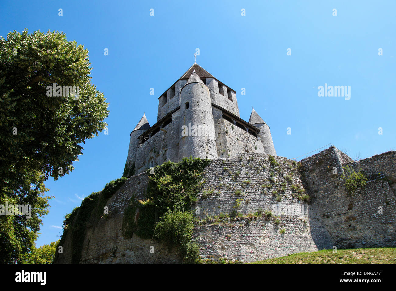 France, Ile-de-France, Seine et Marne, la tour César, dans la ville de Provins. Banque D'Images