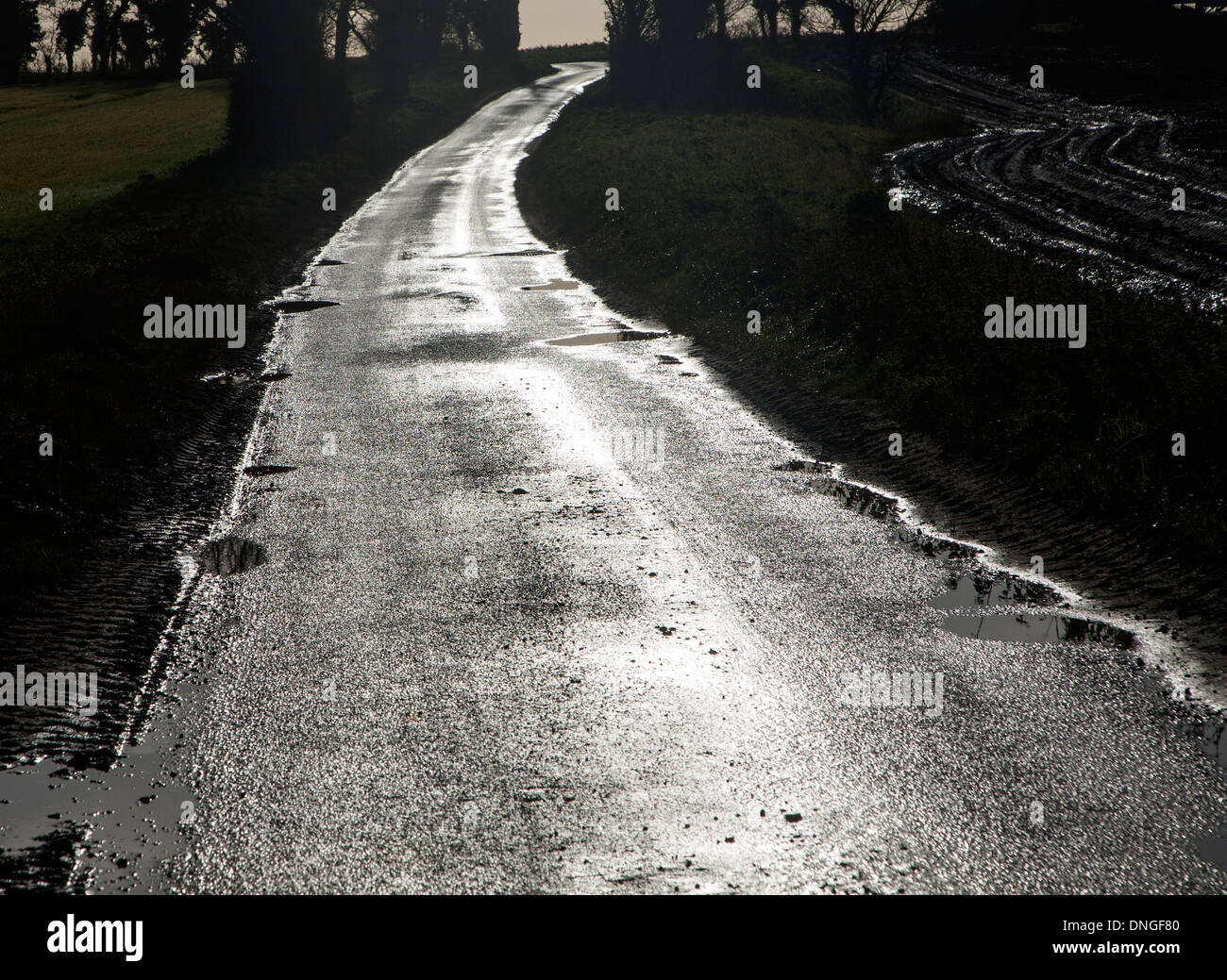 Argenté brillant de surface tarmac humide sur une route de campagne en hiver, Waldringfield, Suffolk, Angleterre Banque D'Images