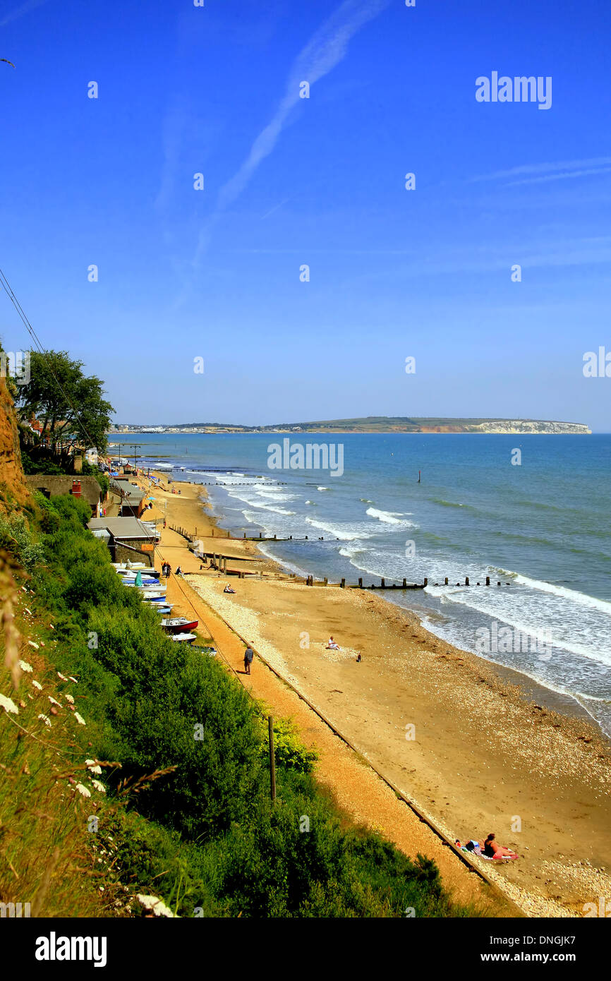 De la plage de shanklin appley étapes sur le sentier du littoral sur l'île de Wight, Angleterre, Royaume-Uni. Banque D'Images