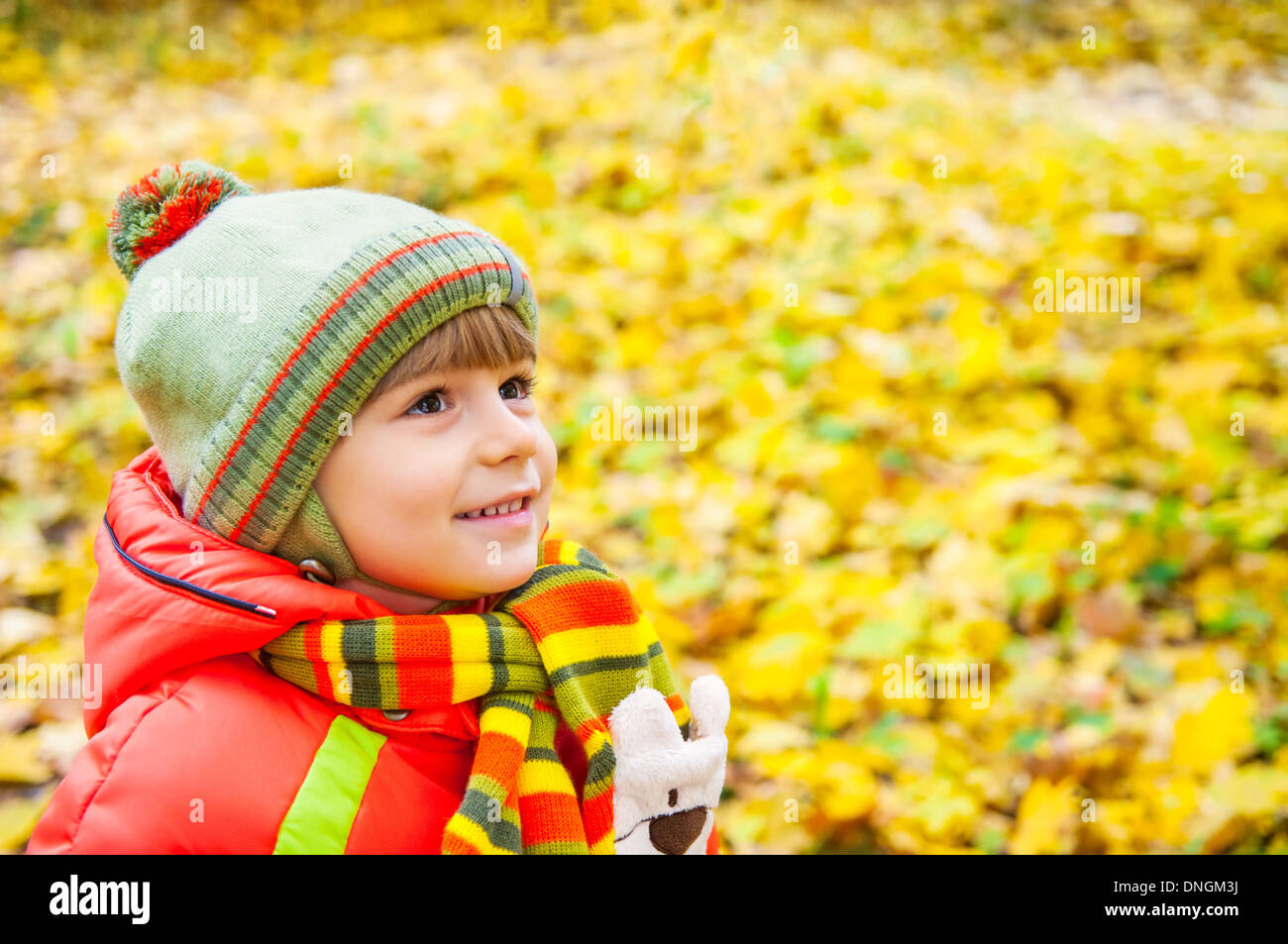 Happy boy smiling in autumn park Banque D'Images