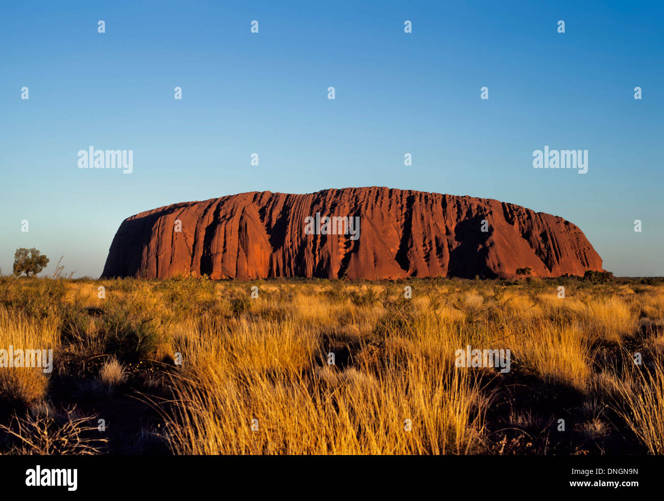 Uluru (Ayers Rock), le Territoire du Nord, Australie Banque D'Images