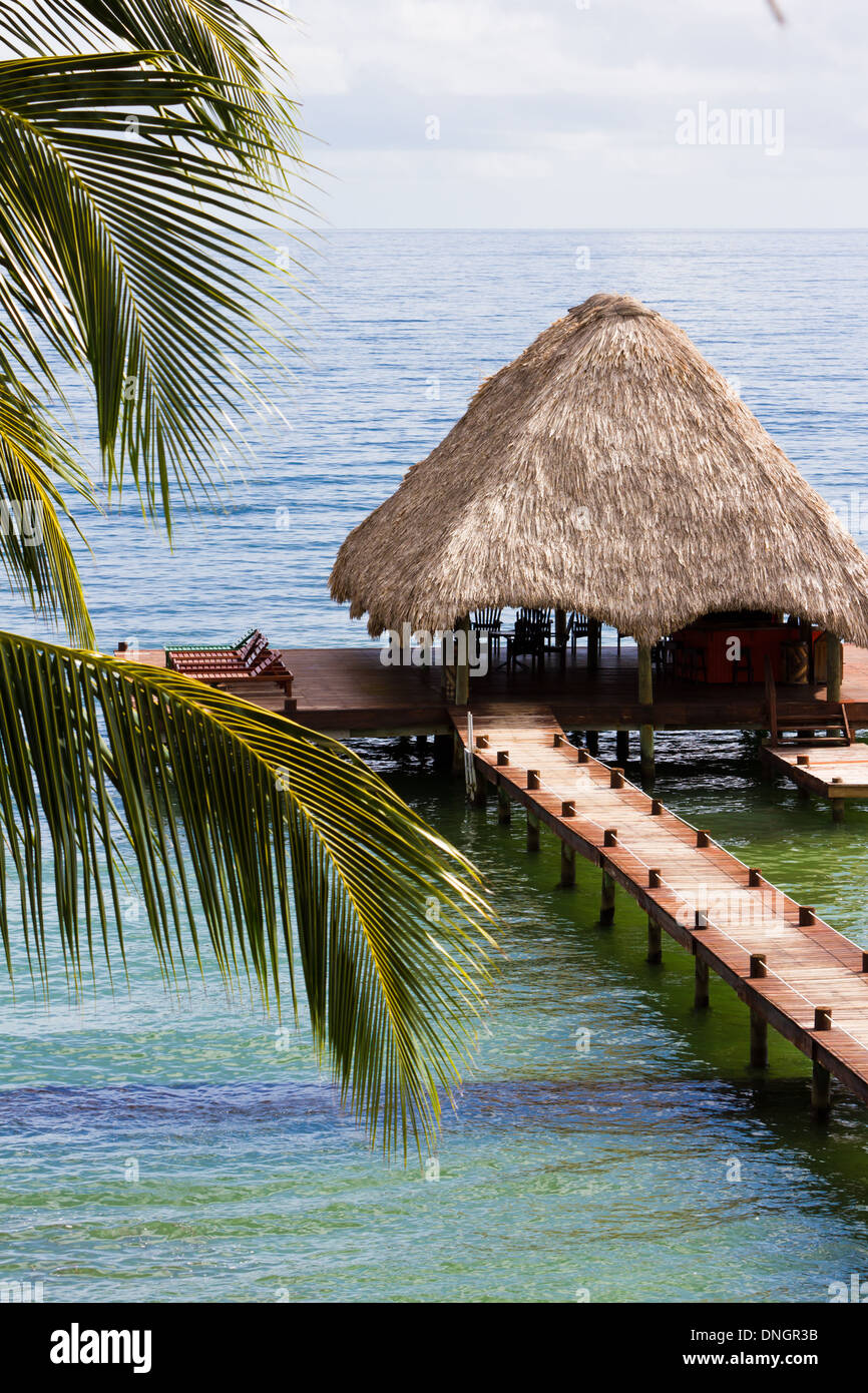 Bar De Plage à Vendre Caraïbes Bar de plage tropicale sur les caraïbes du Belize eaux Photo Stock - Alamy