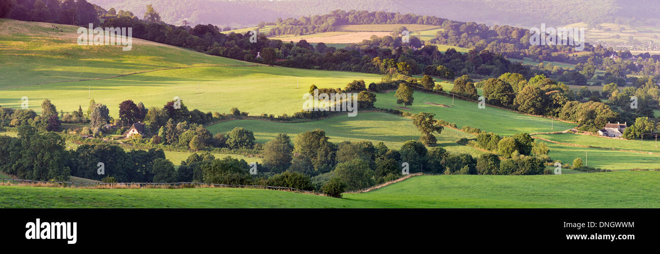 Terres agricoles vallonnées dans les Cotswolds, en Angleterre Banque D'Images