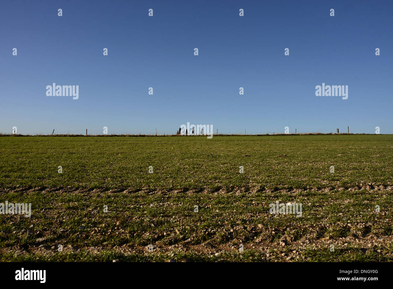 Ditchling Beacon, Sussex, UK. Dec 29, 2013. Le calme entre les tempêtes, les marcheurs sont illustrés sur Ditchling Beacon à Sussex après des jours de grands vents et de la pluie a ravagé les Sud-est de la Grande-Bretagne. Plus le mauvais temps est prévu sur la côte sud de demain. 29/12/13 Crédit : Chloe Parker/Alamy Live News Banque D'Images
