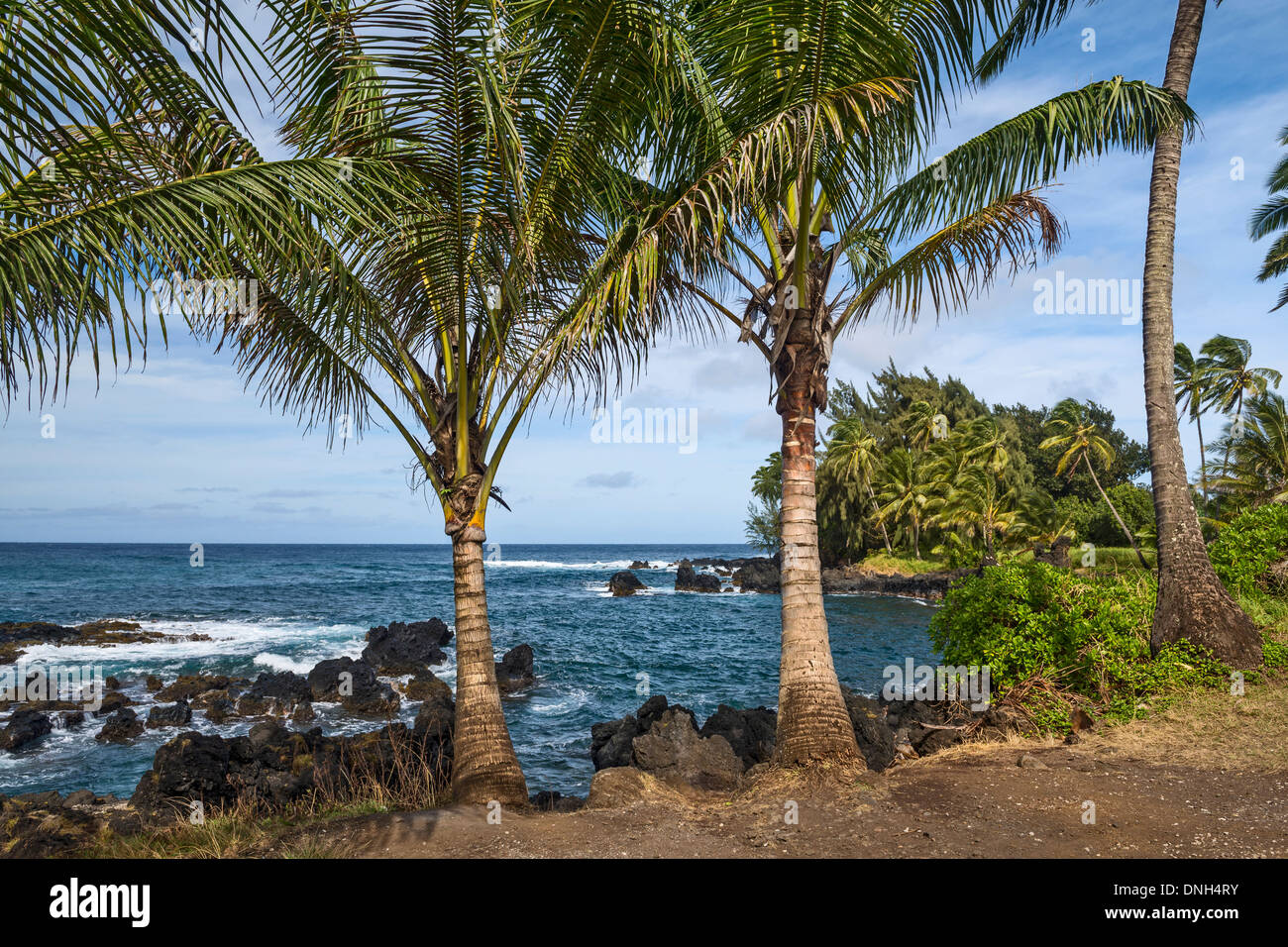 La côte d'une île volcanique de la péninsule en Keanae Maui. Banque D'Images