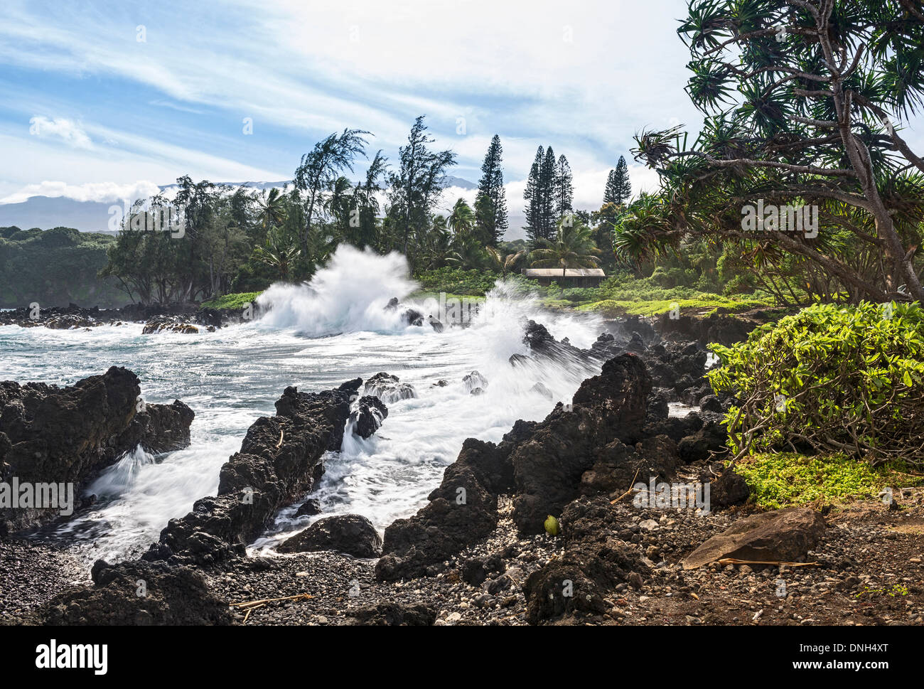 La côte d'une île volcanique de la péninsule en Keanae Maui. Banque D'Images