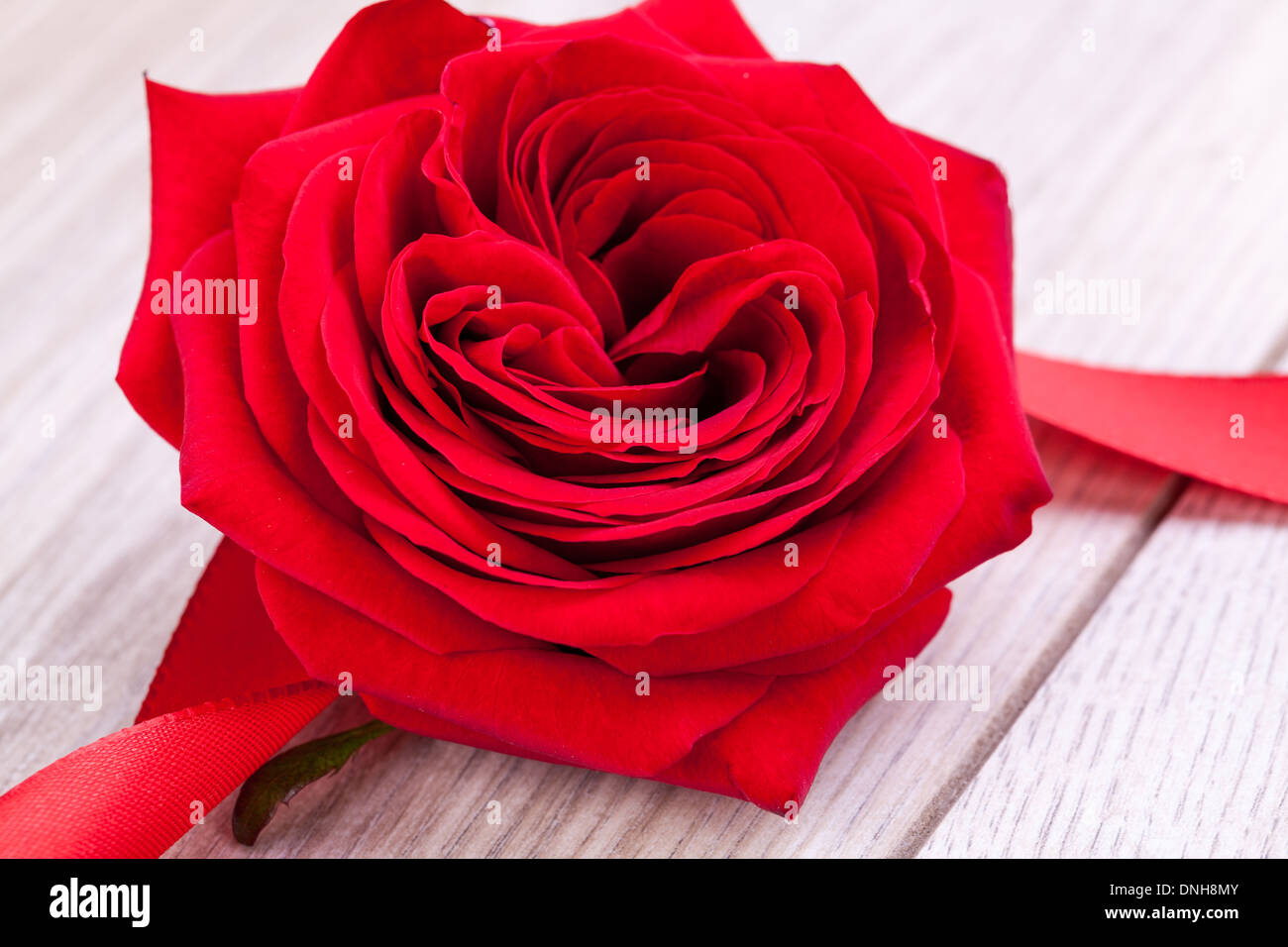 Bouquet De Belles Roses Rouges Frais Avec Un Ruban Enroule Border Isole Sur Blanc Avec Plein De Copyspace Pour Votre Anniversaire Ou Un Message D Amour Saint Valentin Photo Stock Alamy Bouquet De Belles Roses Rouges Frais Avec Un Ruban Enroule Border Isole Sur Blanc Avec Plein De Copyspace Pour Votre Anniversaire Ou Un Message D Amour Saint Valentin Photo Stock Alamy