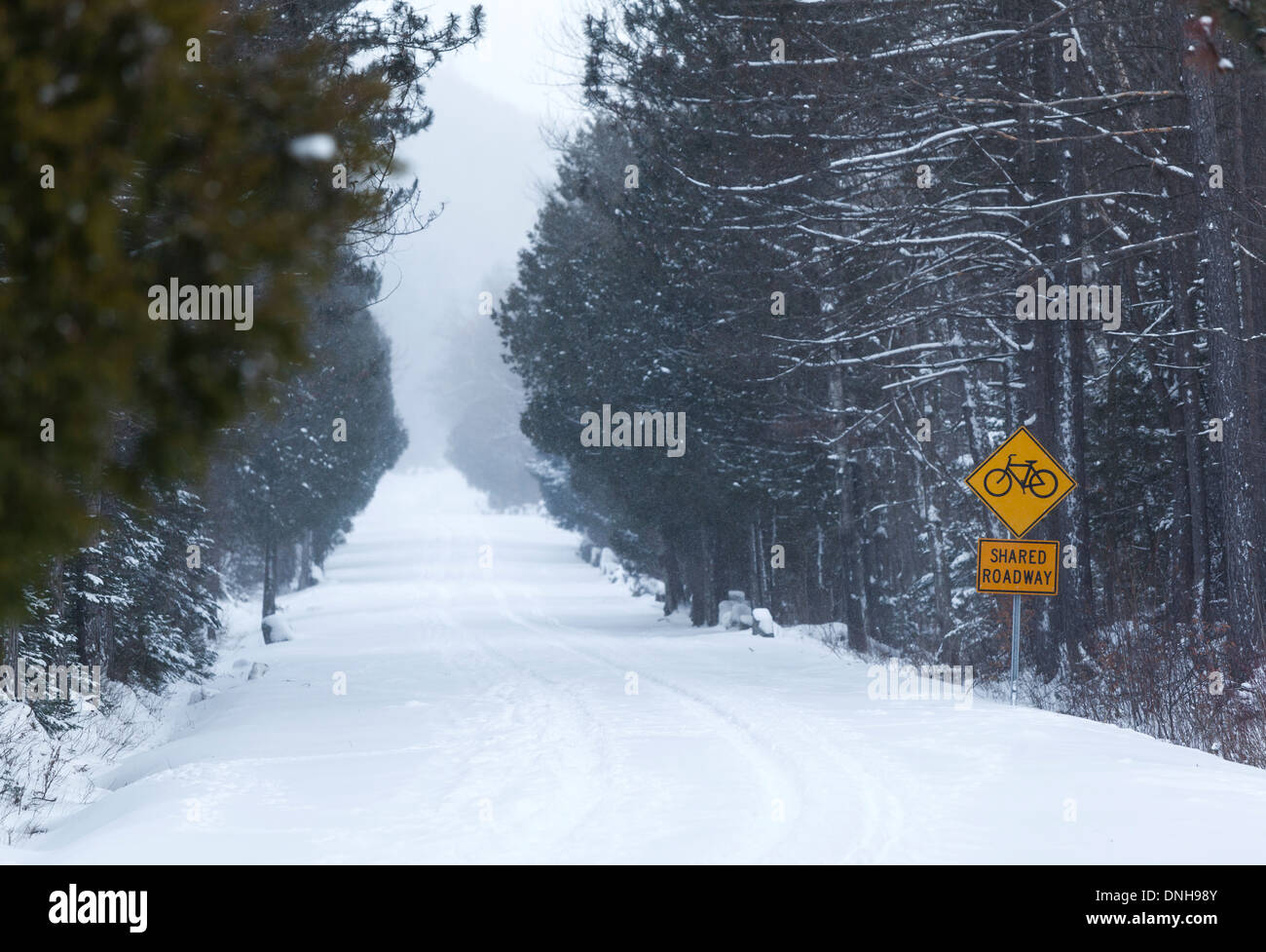 Signe de piste cyclable sur la route d'hiver Banque D'Images