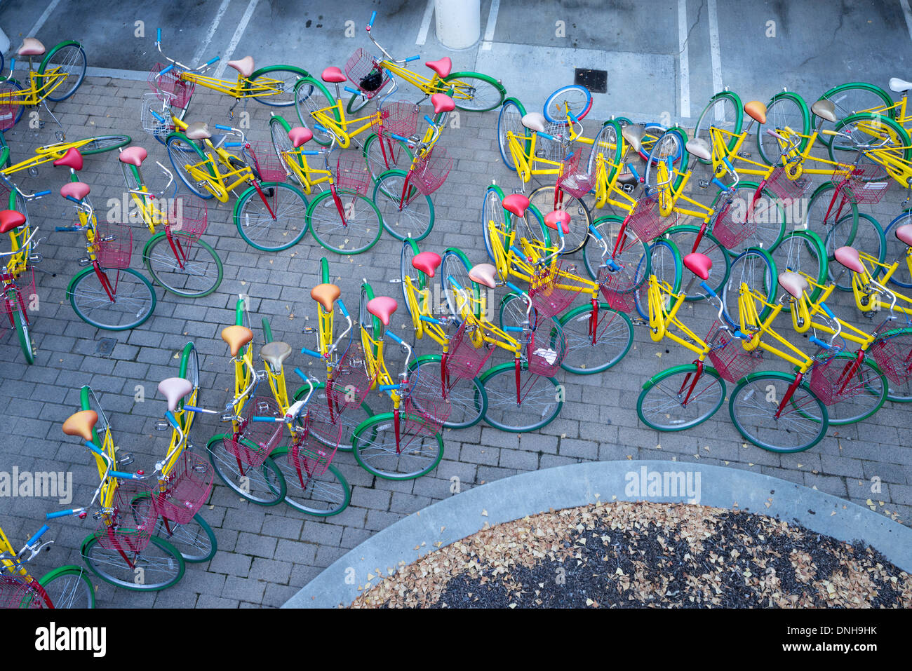 Des vélos à Google Google's campus, sur la Montagne de la Californie. Banque D'Images